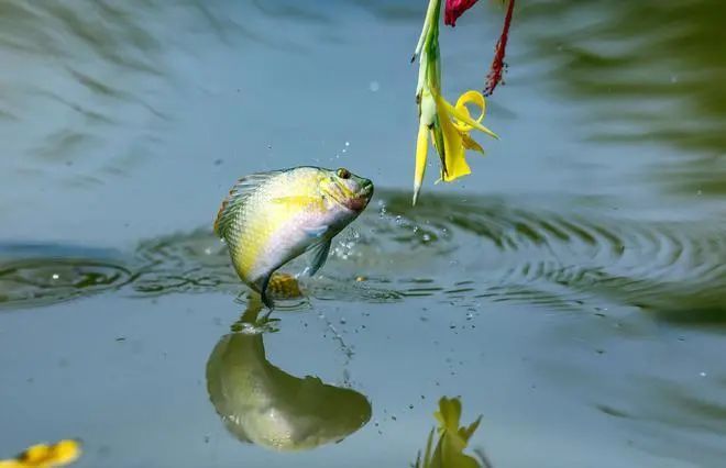 让行善成为一种本能